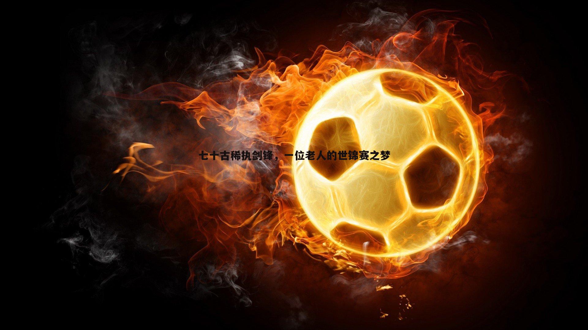 七十古稀执剑锋，一位老人的世锦赛之梦