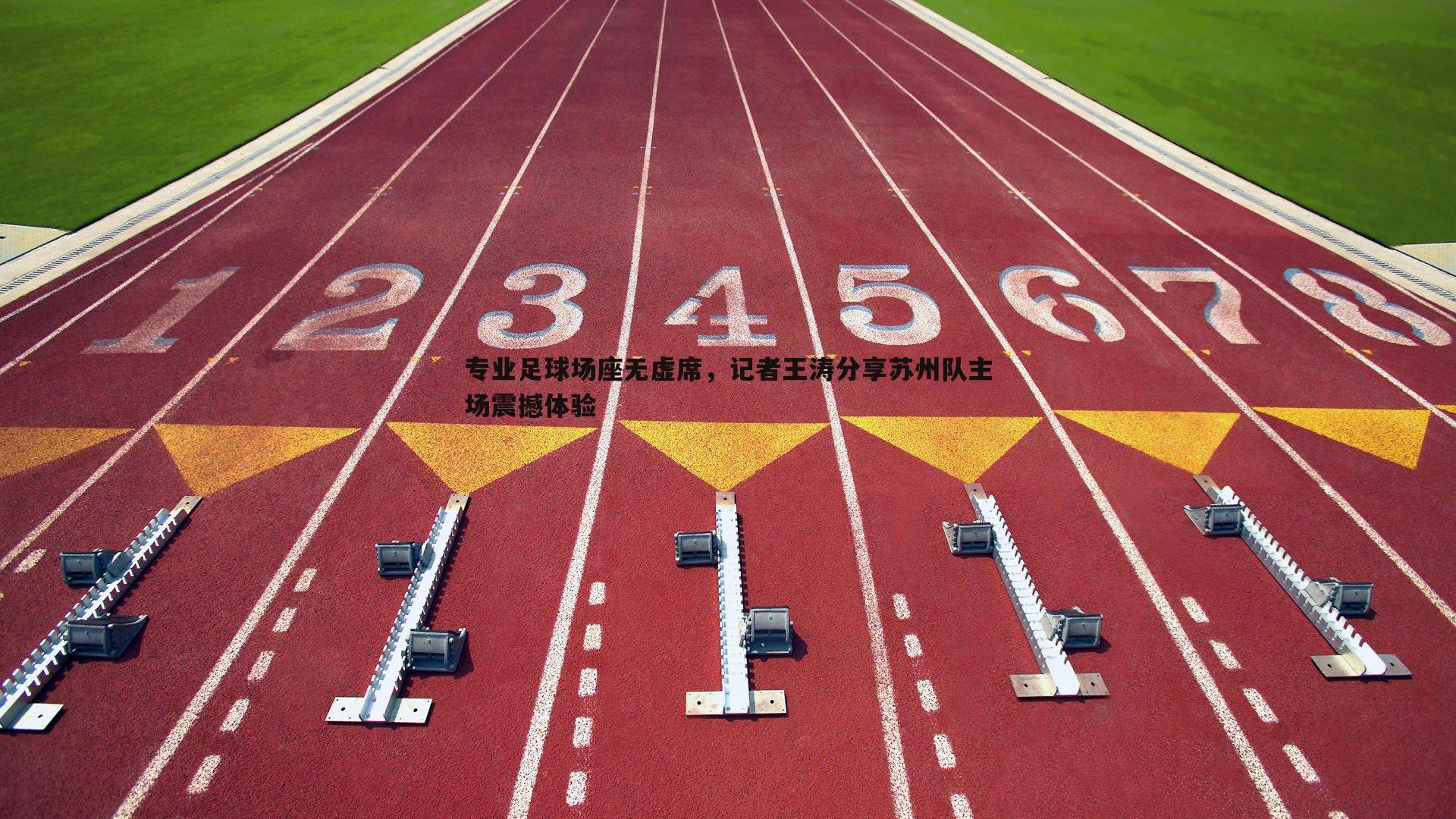 专业足球场座无虚席,记者王涛分享苏州队主场震撼体验